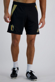 adidas Performance Belgien Home Replica Herren Short EM 2024