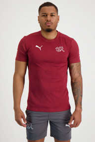 Puma Schweiz Training Herren T-Shirt