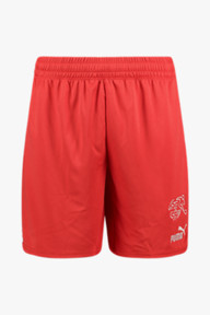 Puma Svizzera Home Replica short uomo WM 2022